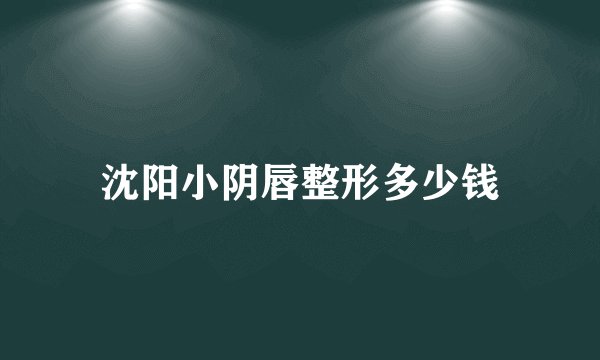 沈阳小阴唇整形多少钱