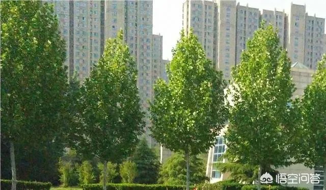 导读女儿之前在本地学校成绩不大稳定总的来说算中上典型的半拉子
