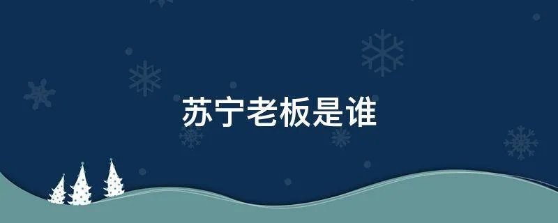苏宁老板是谁
