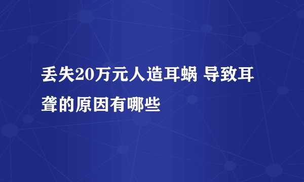 丢失20万元人造耳蜗 导致耳聋的原因有哪些
