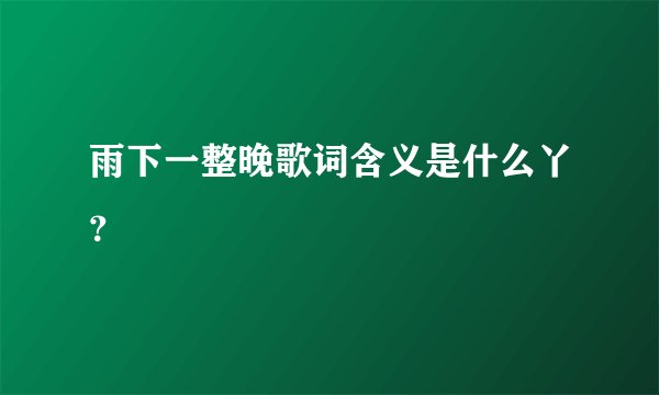 雨下一整晚歌词含义是什么丫？
