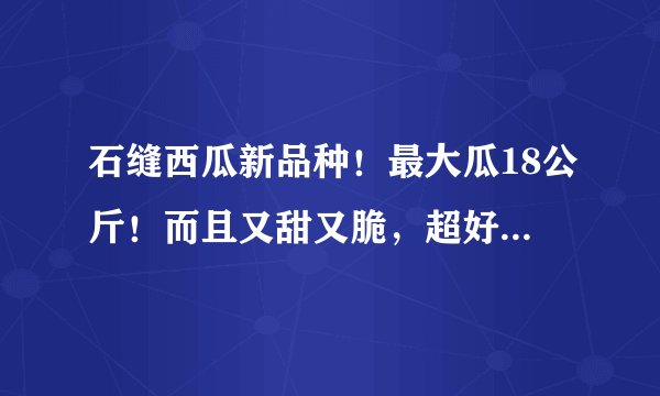 石缝西瓜新品种!最大瓜18公斤!而且又甜又脆,超好吃,农户容易种