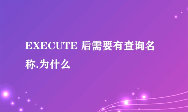 EXECUTE 后需要有查询名称.为什么