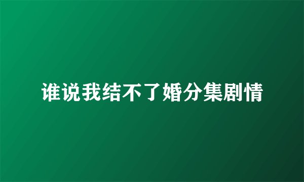谁说我结不了婚分集剧情