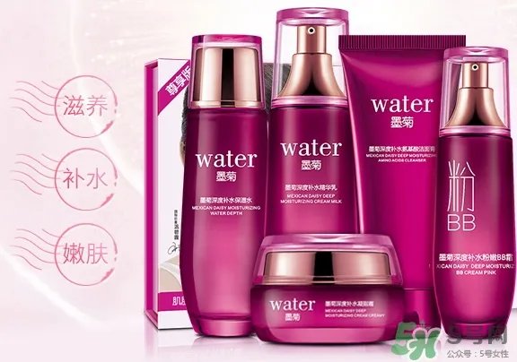 一枝春是什么牌子?一枝春化妆品怎么样