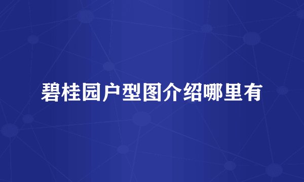 碧桂园户型图介绍哪里有