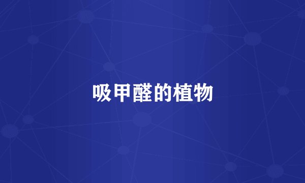 吸甲醛的植物