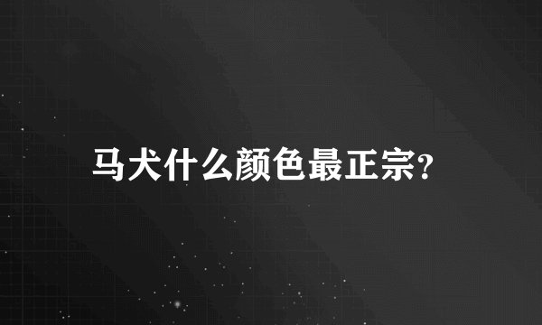马犬什么颜色最正宗?