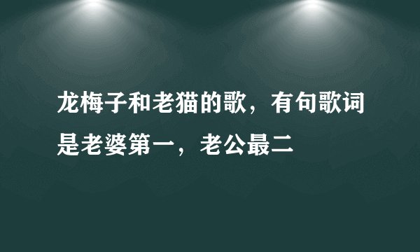 龙梅子和老猫的歌，有句歌词是老婆第一，老公最二