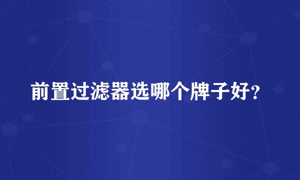 前置过滤器选哪个牌子好？