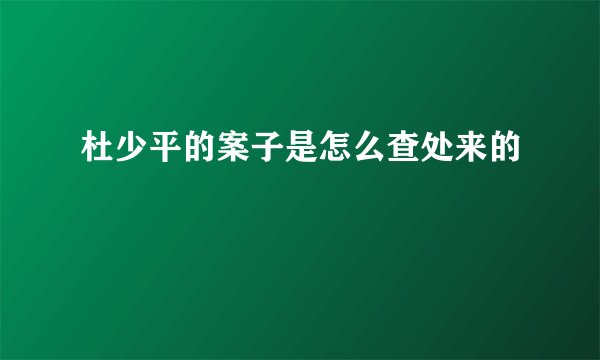 杜少平的案子是怎么查处来的