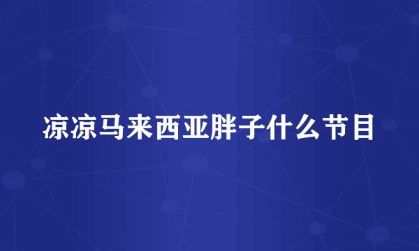 凉凉马来西亚胖子什么节目