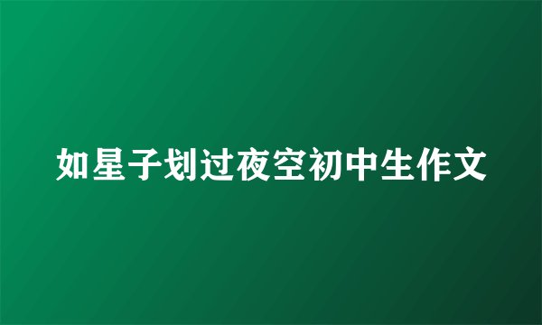 如星子划过夜空初中生作文