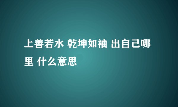 上善若水 乾坤如袖 出自己哪里 什么意思