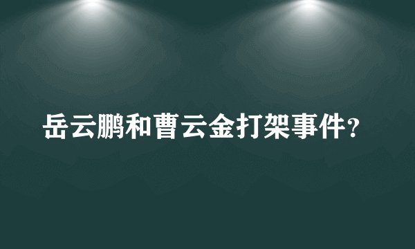 岳云鹏和曹云金打架事件?