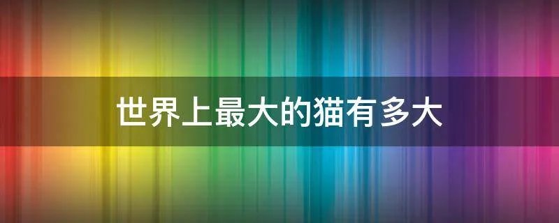 世界上最大的猫有多大