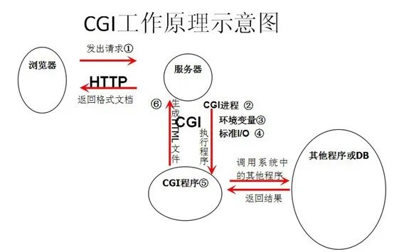 CGI的服务器配置
