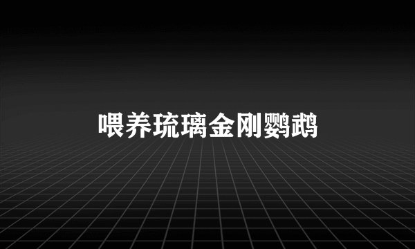 喂养琉璃金刚鹦鹉