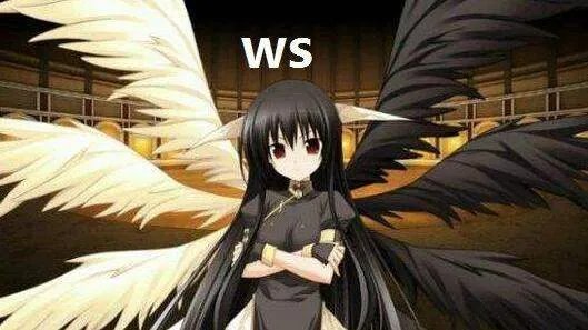 ws是什么意思？