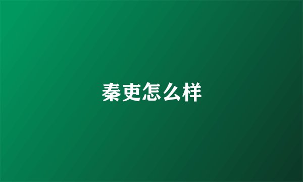 秦吏怎么样