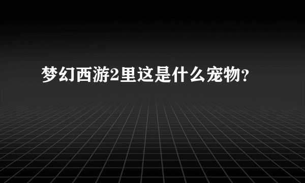 梦幻西游2里这是什么宠物?