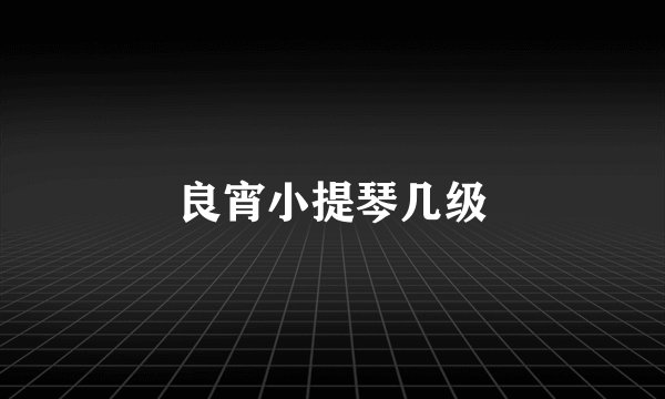 良宵小提琴几级