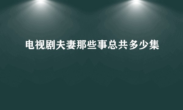 电视剧夫妻那些事总共多少集