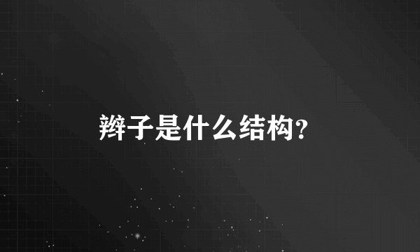 辫子是什么结构?