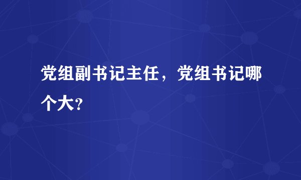 党组副书记主任，党组书记哪个大？