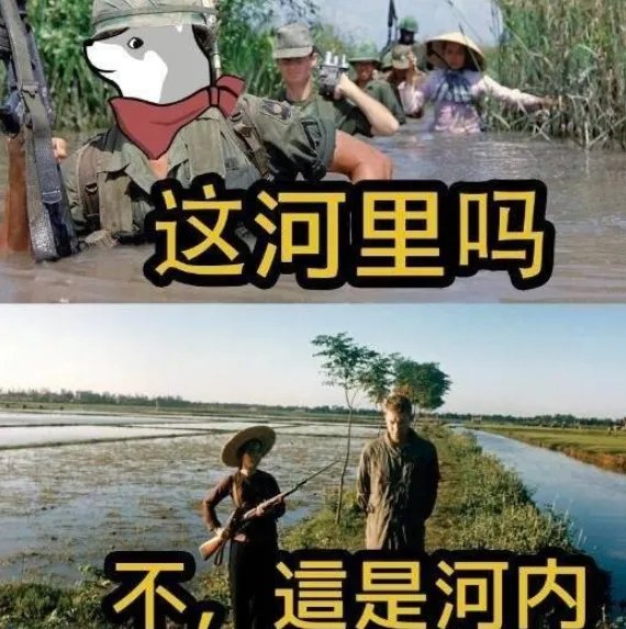 这合理吗表情包大全