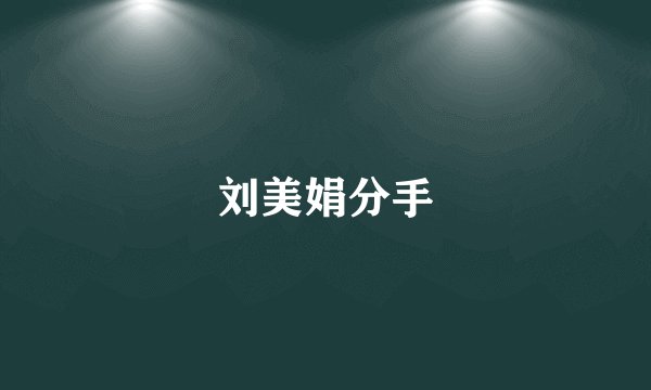 刘美娟分手