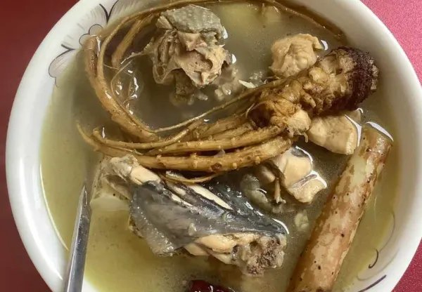 浙江一月子中心因在鸡汤里加党参被罚3万,“药食同源”你了解多少?