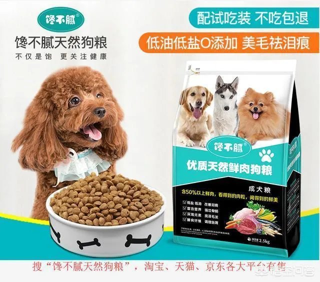 为什么大家都不敢养金毛犬?