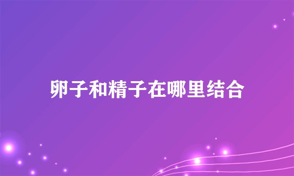 卵子和精子在哪里结合