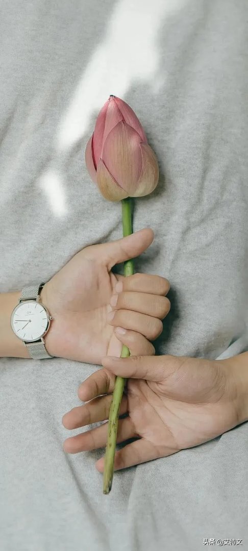 女明星吃饭都带称吗？
