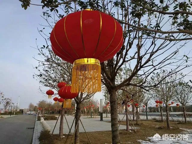 2019年央视春晚你最喜欢哪个节目?