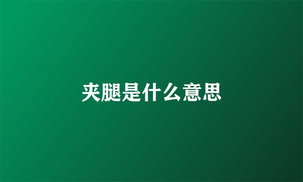 夹腿是什么意思