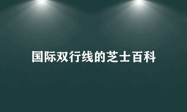 国际双行线的芝士百科