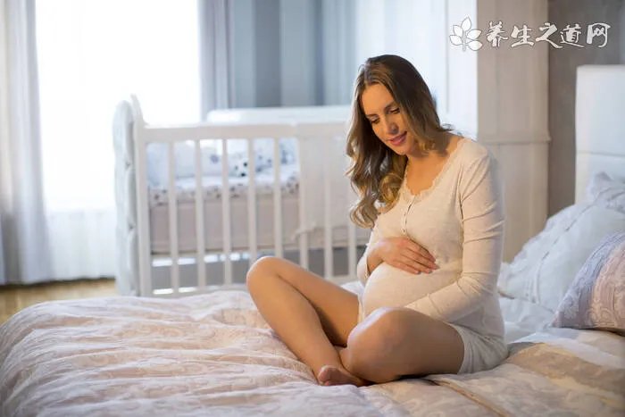 宾馆里可以带进去宠物吗?可以把宠物带进宾馆么?【图】
