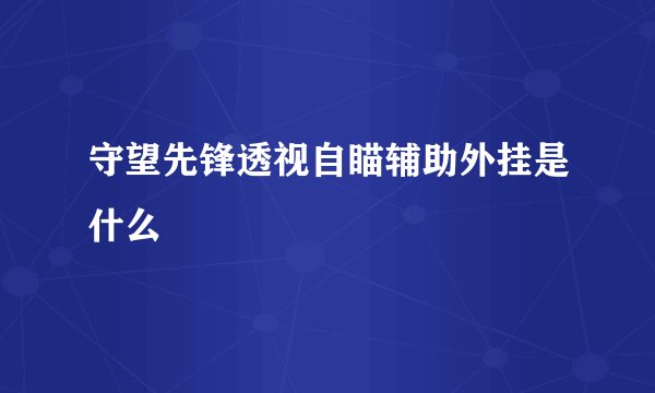 守望先锋透视自瞄辅助外挂是什么