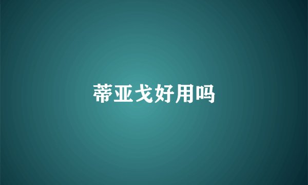 蒂亚戈好用吗