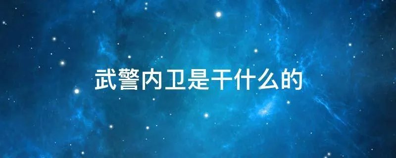 武警内卫是干什么的
