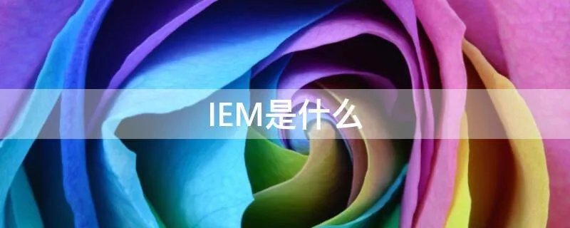 IEM是什么