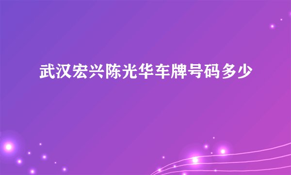 武汉宏兴陈光华车牌号码多少