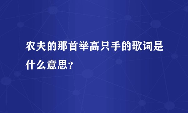 农夫的那首举高只手的歌词是什么意思?
