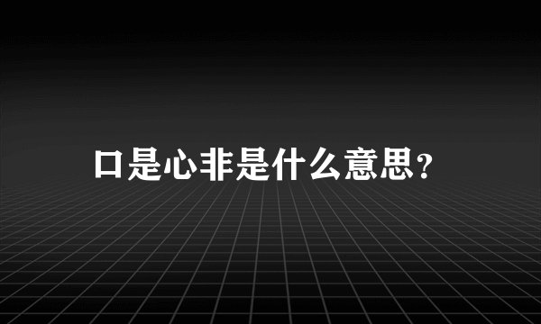 口是心非是什么意思？