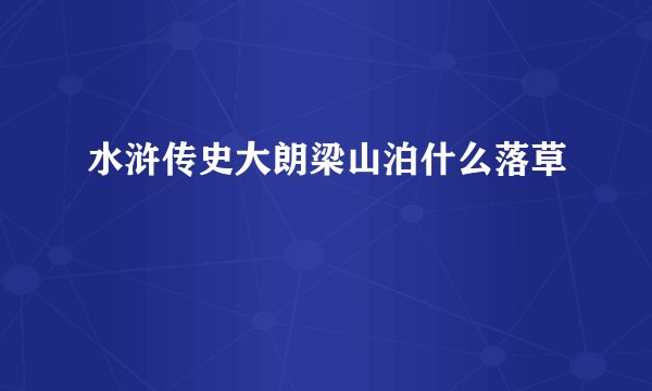 水浒传史大朗梁山泊什么落草