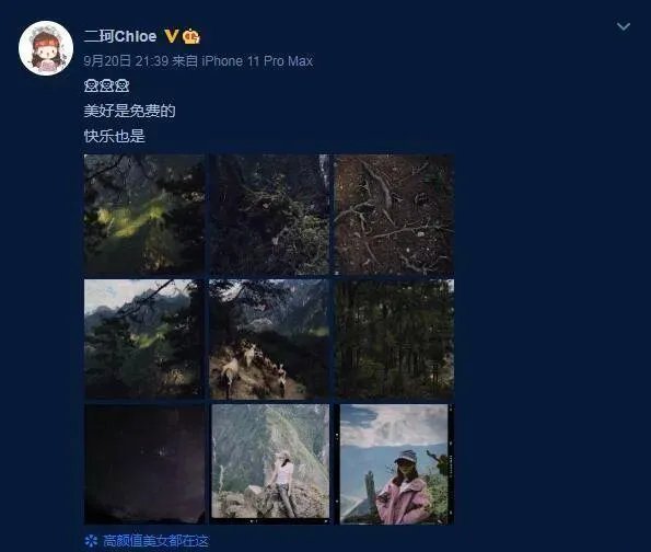 周二珂宣布已经分手,那么她会回去开播吗?