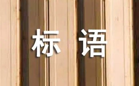 净化网络环境宣传标语