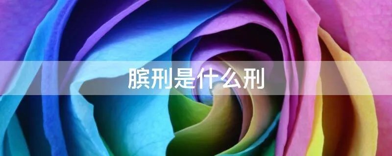 膑刑是什么刑